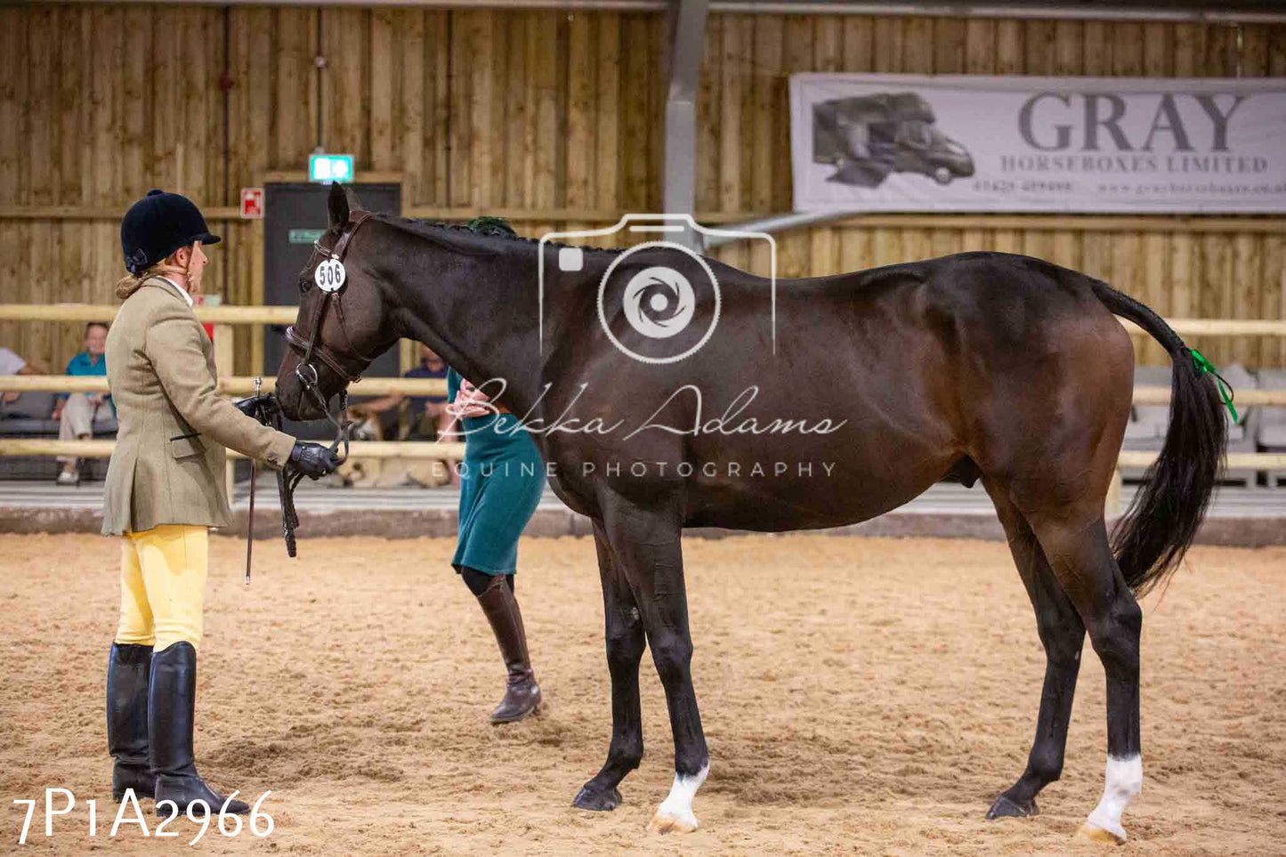 Home Farm Funshine Show 2024 - Inhand Showing 14th September