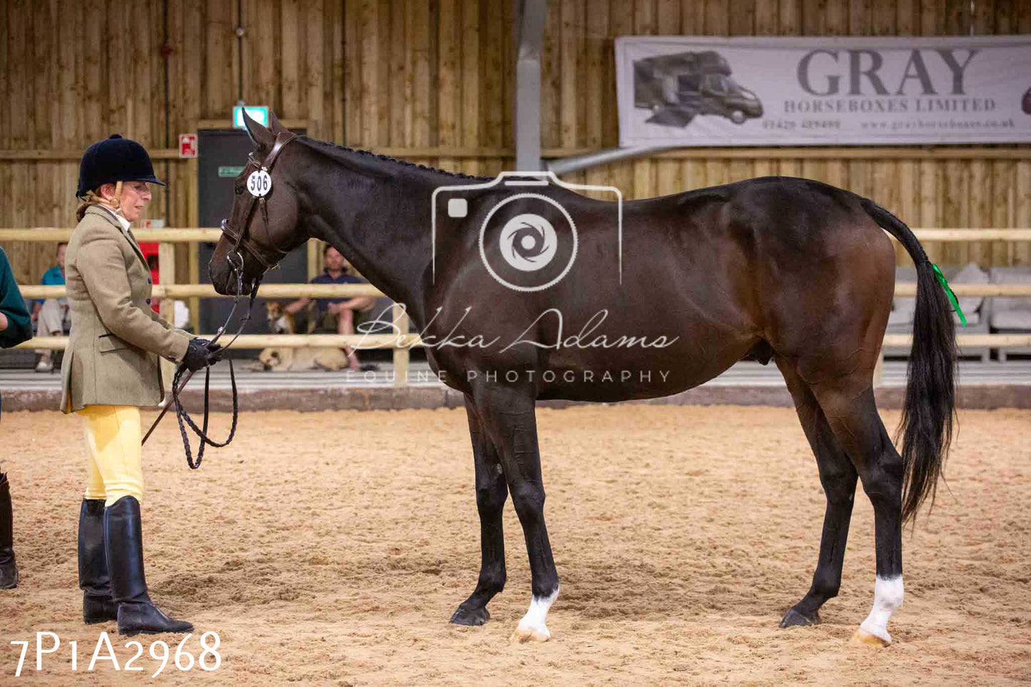 Home Farm Funshine Show 2024 - Inhand Showing 14th September