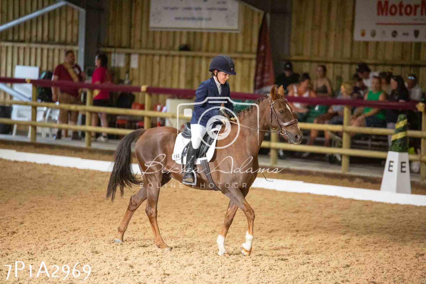JHOYS 2023 - 7th Septemeber - Dressage