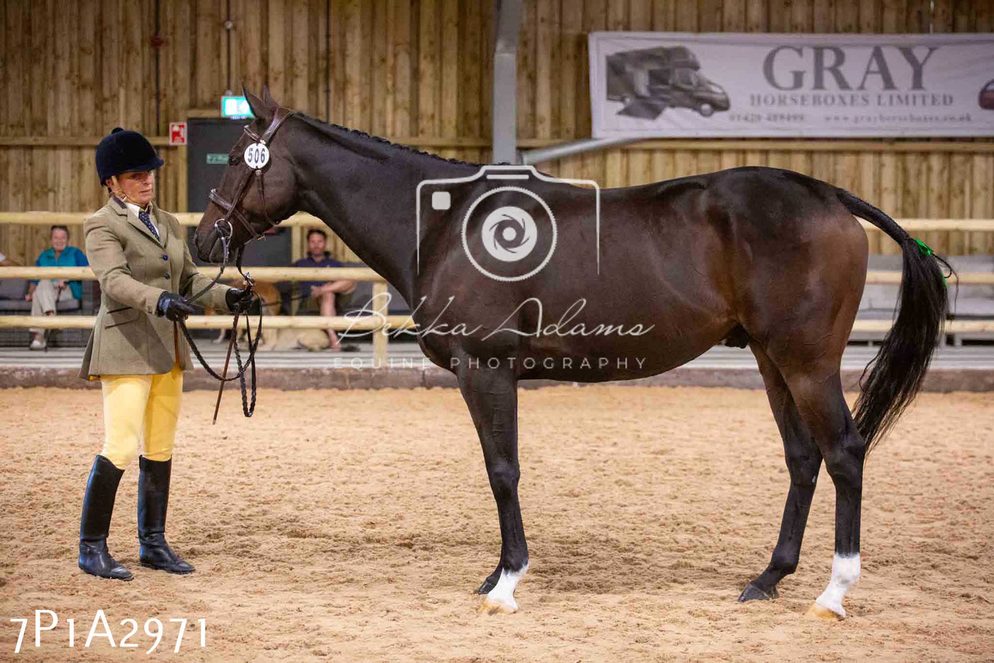 Home Farm Funshine Show 2024 - Inhand Showing 14th September