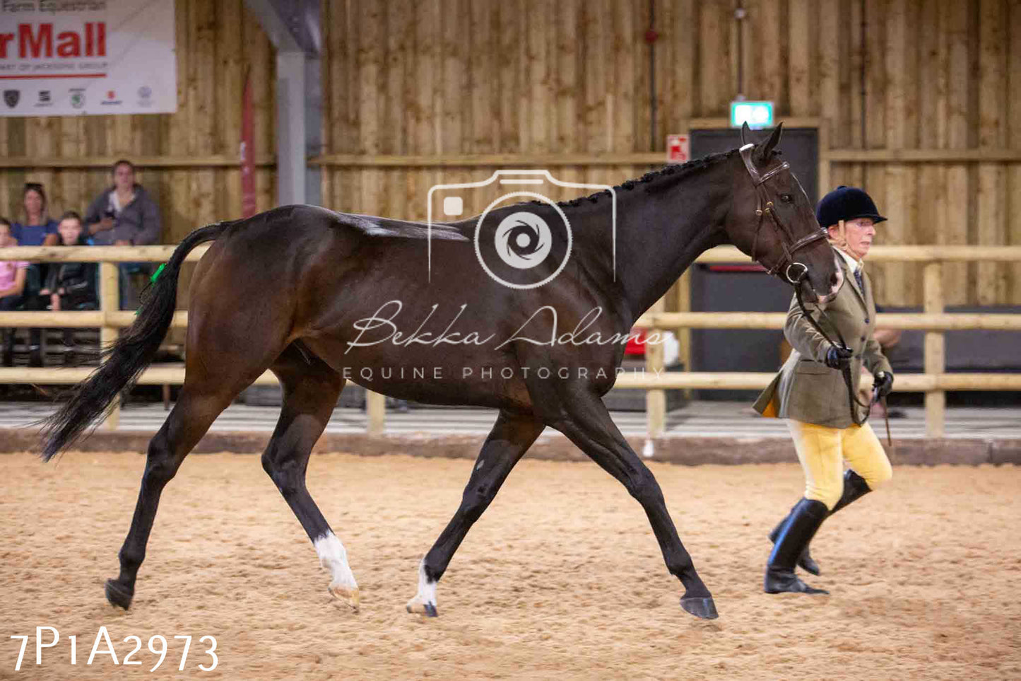 Home Farm Funshine Show 2024 - Inhand Showing 14th September