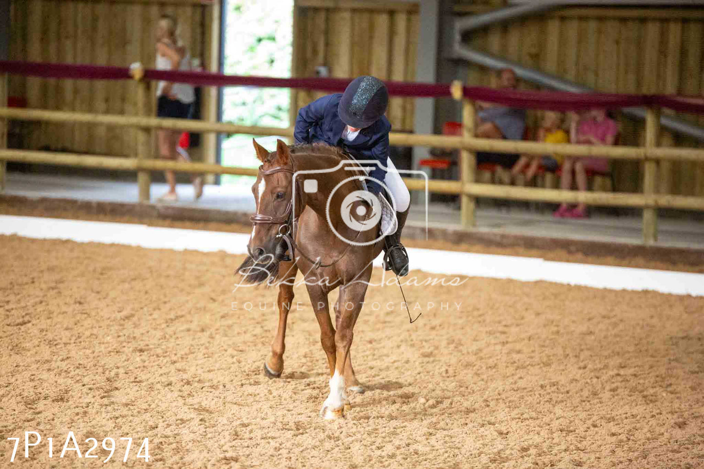 JHOYS 2023 - 7th Septemeber - Dressage