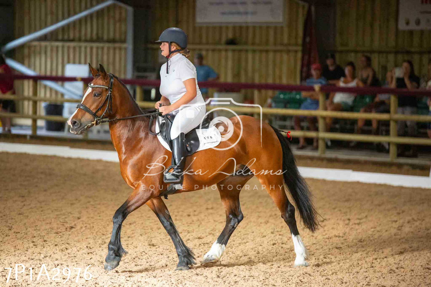 JHOYS 2023 - 7th Septemeber - Dressage