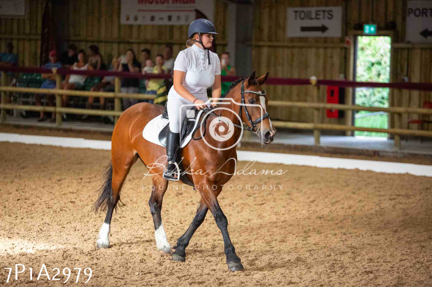 JHOYS 2023 - 7th Septemeber - Dressage