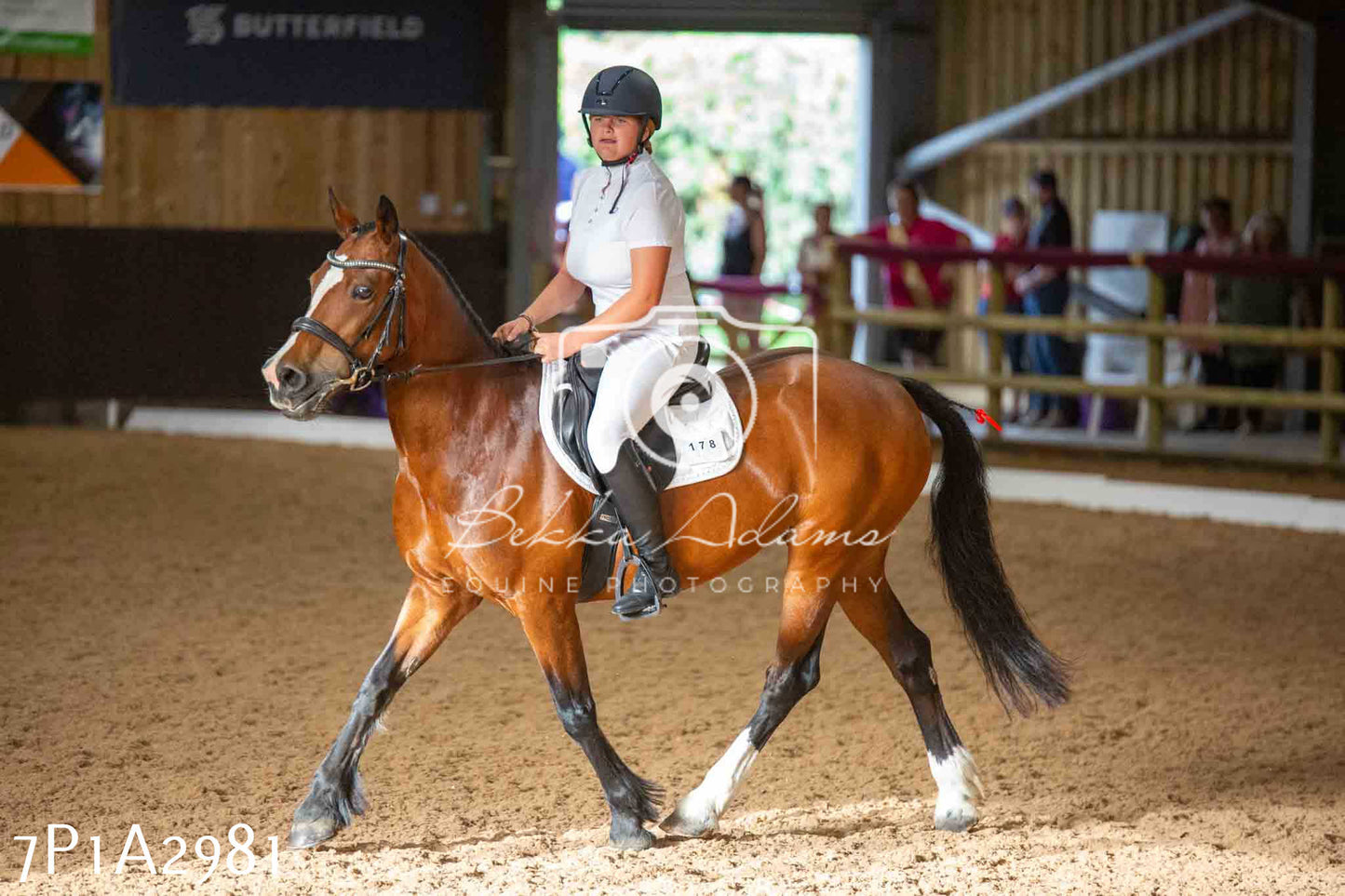 JHOYS 2023 - 7th Septemeber - Dressage