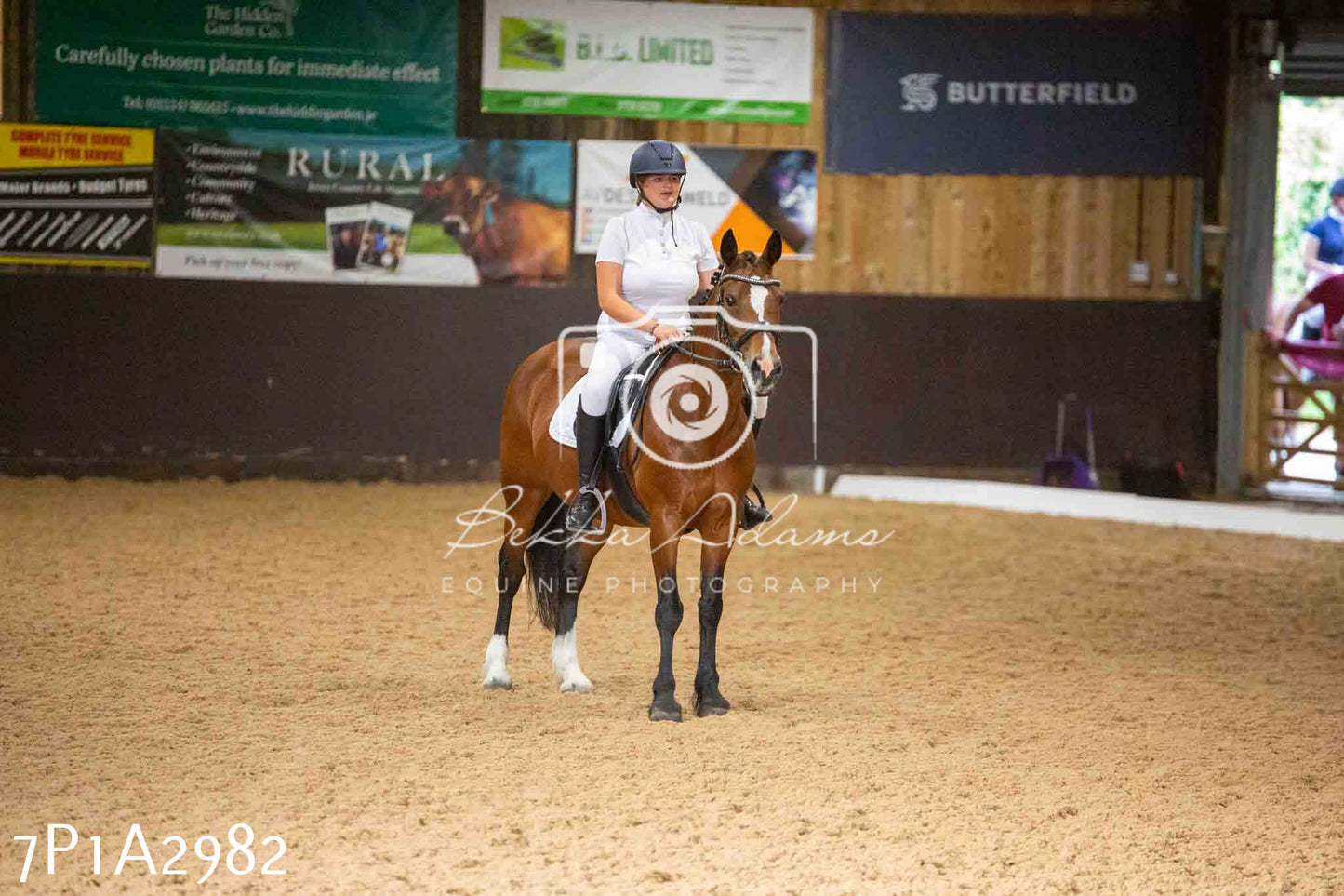 JHOYS 2023 - 7th Septemeber - Dressage