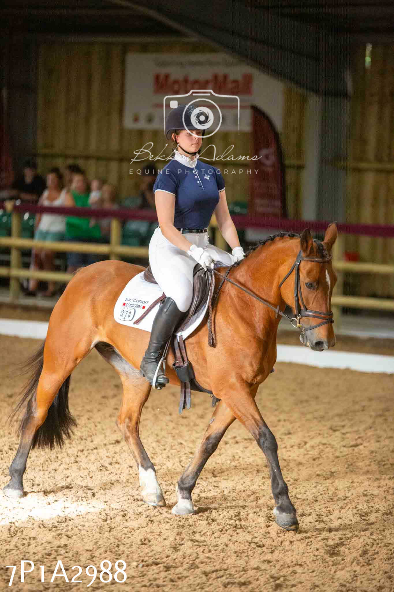 JHOYS 2023 - 7th Septemeber - Dressage