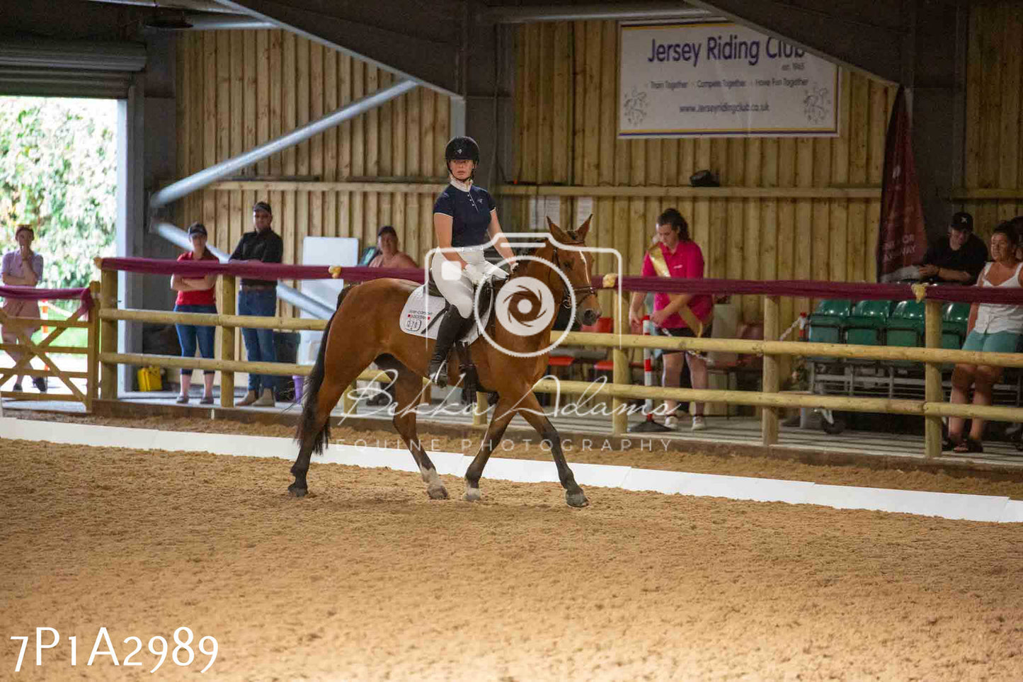JHOYS 2023 - 7th Septemeber - Dressage