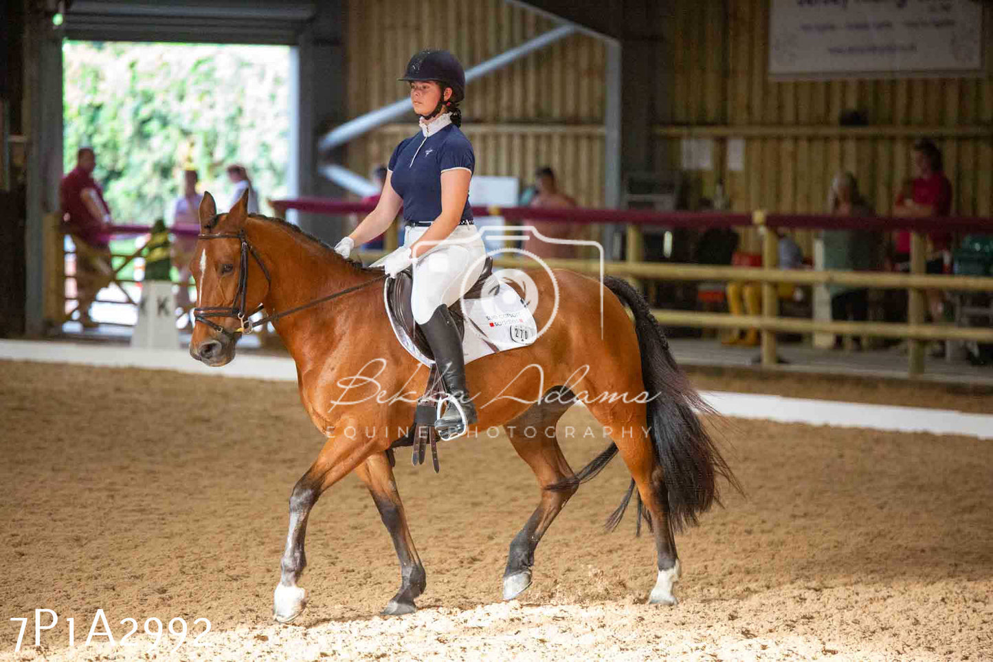 JHOYS 2023 - 7th Septemeber - Dressage