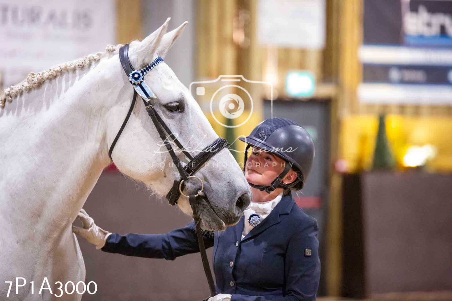 Home Farm Funshine Show 2024 - Inhand Showing 14th September