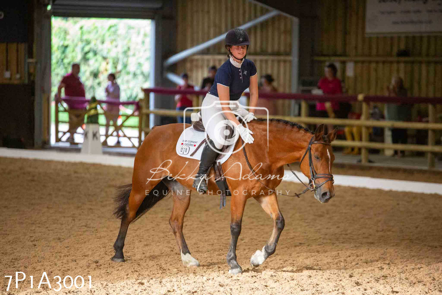 JHOYS 2023 - 7th Septemeber - Dressage