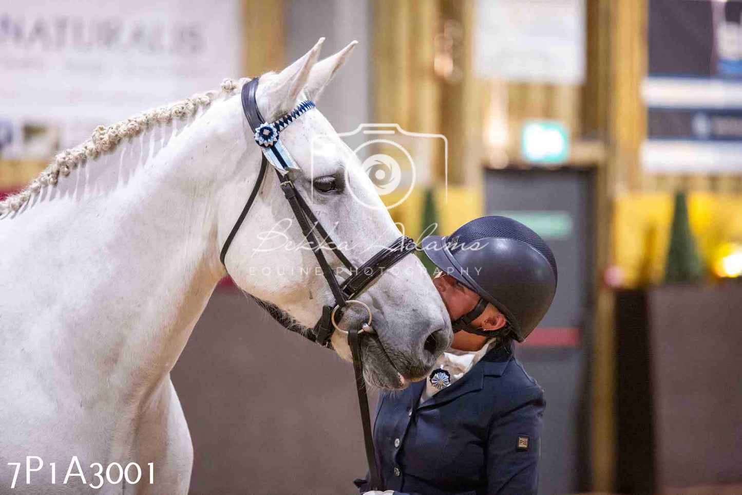 Home Farm Funshine Show 2024 - Inhand Showing 14th September
