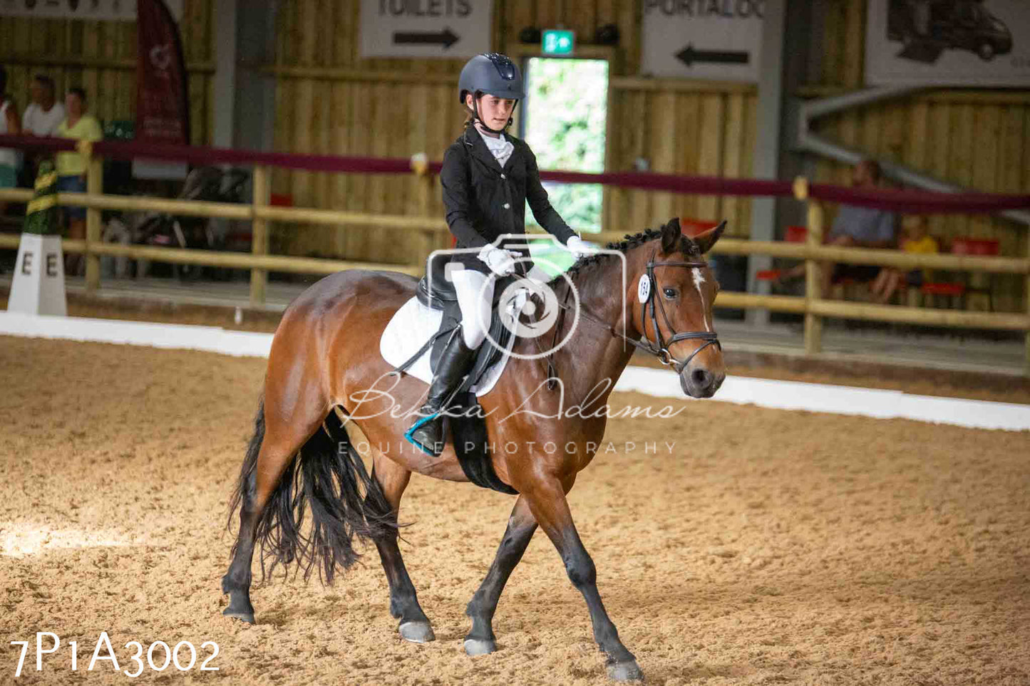 JHOYS 2023 - 7th Septemeber - Dressage