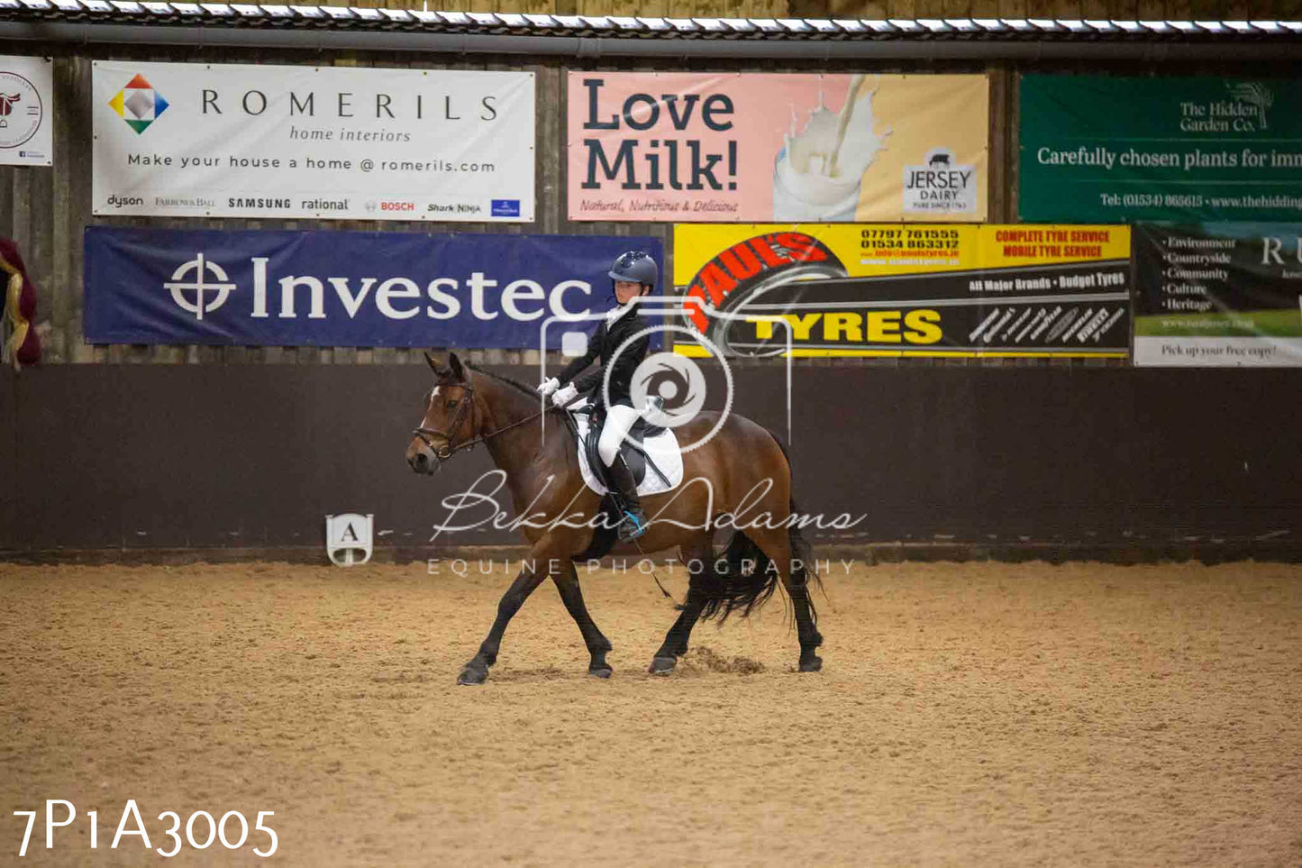JHOYS 2023 - 7th Septemeber - Dressage