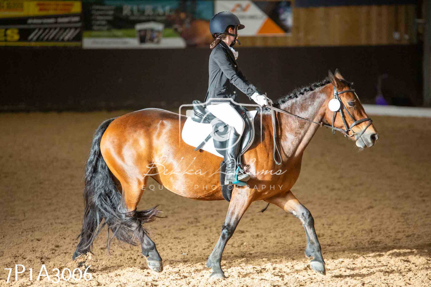 JHOYS 2023 - 7th Septemeber - Dressage
