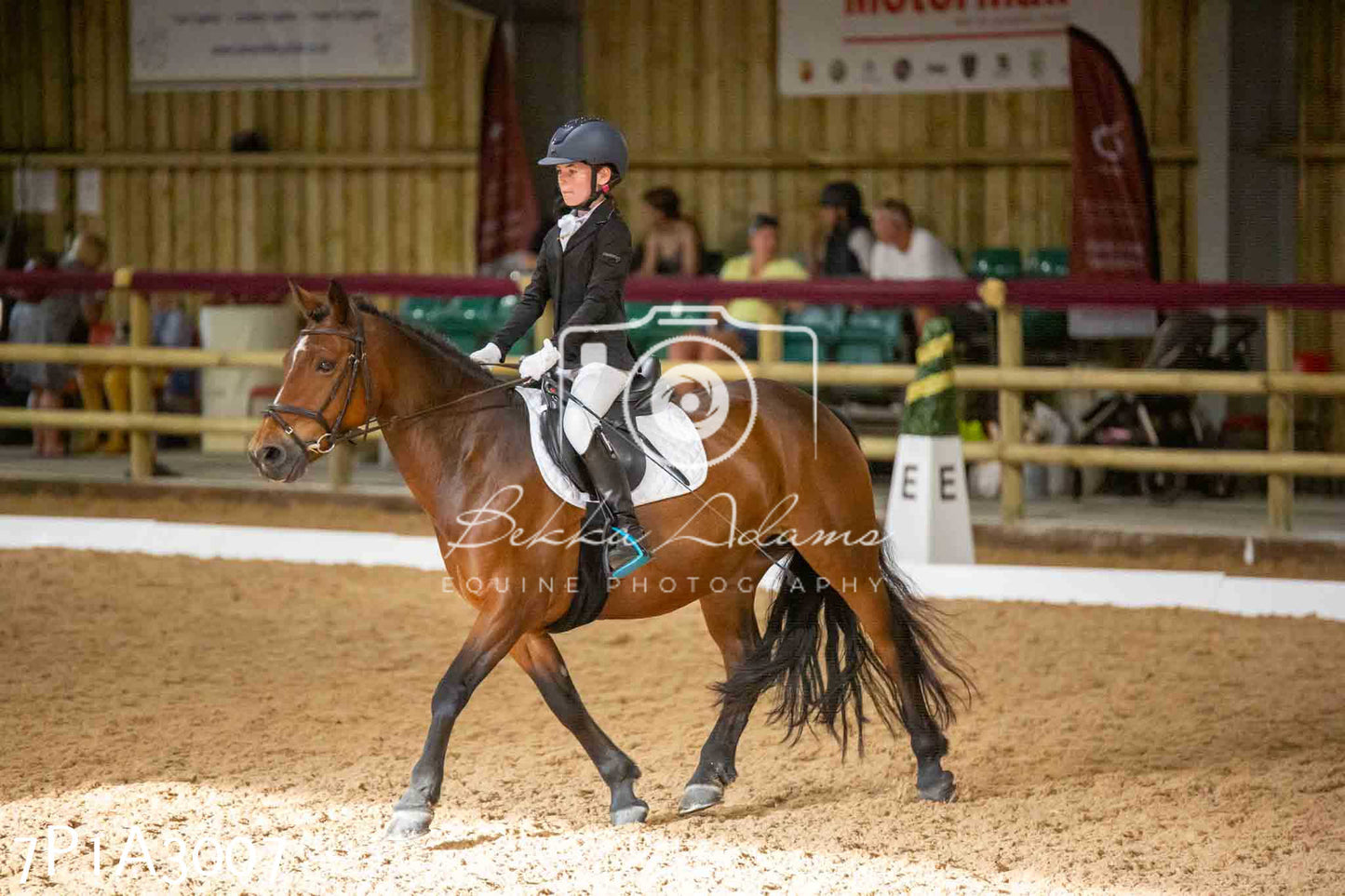 JHOYS 2023 - 7th Septemeber - Dressage