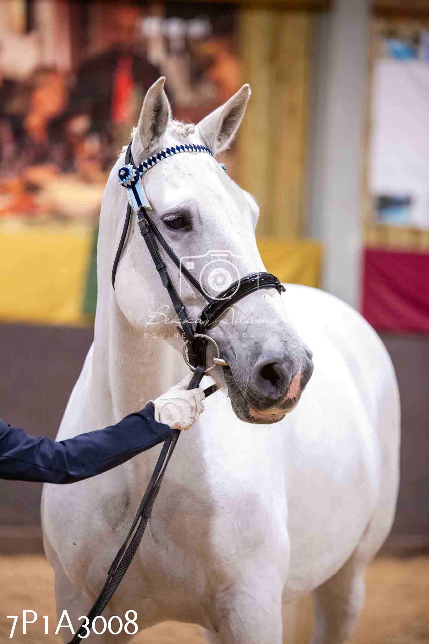 Home Farm Funshine Show 2024 - Inhand Showing 14th September