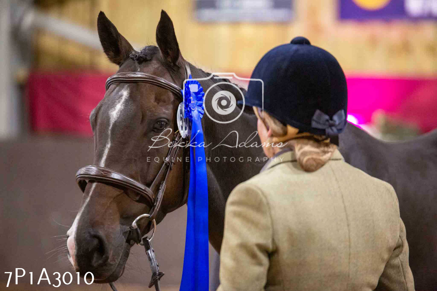 Home Farm Funshine Show 2024 - Inhand Showing 14th September