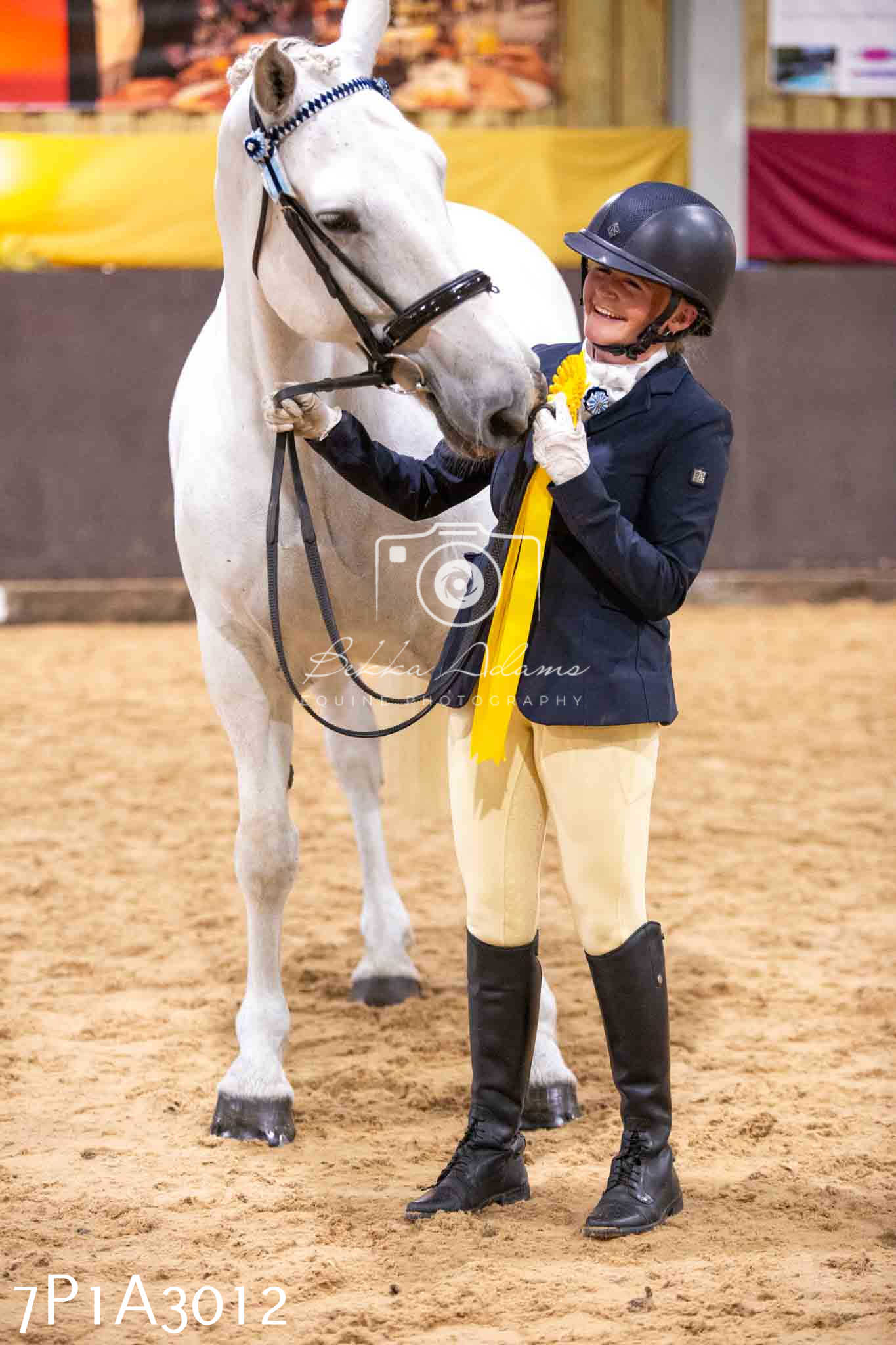Home Farm Funshine Show 2024 - Inhand Showing 14th September
