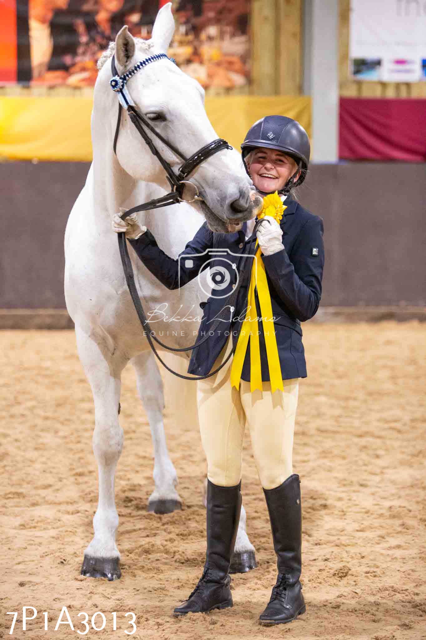 Home Farm Funshine Show 2024 - Inhand Showing 14th September