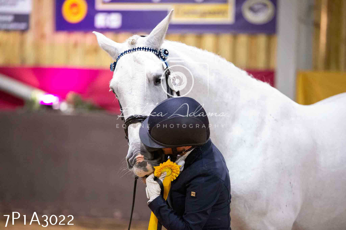 Home Farm Funshine Show 2024 - Inhand Showing 14th September