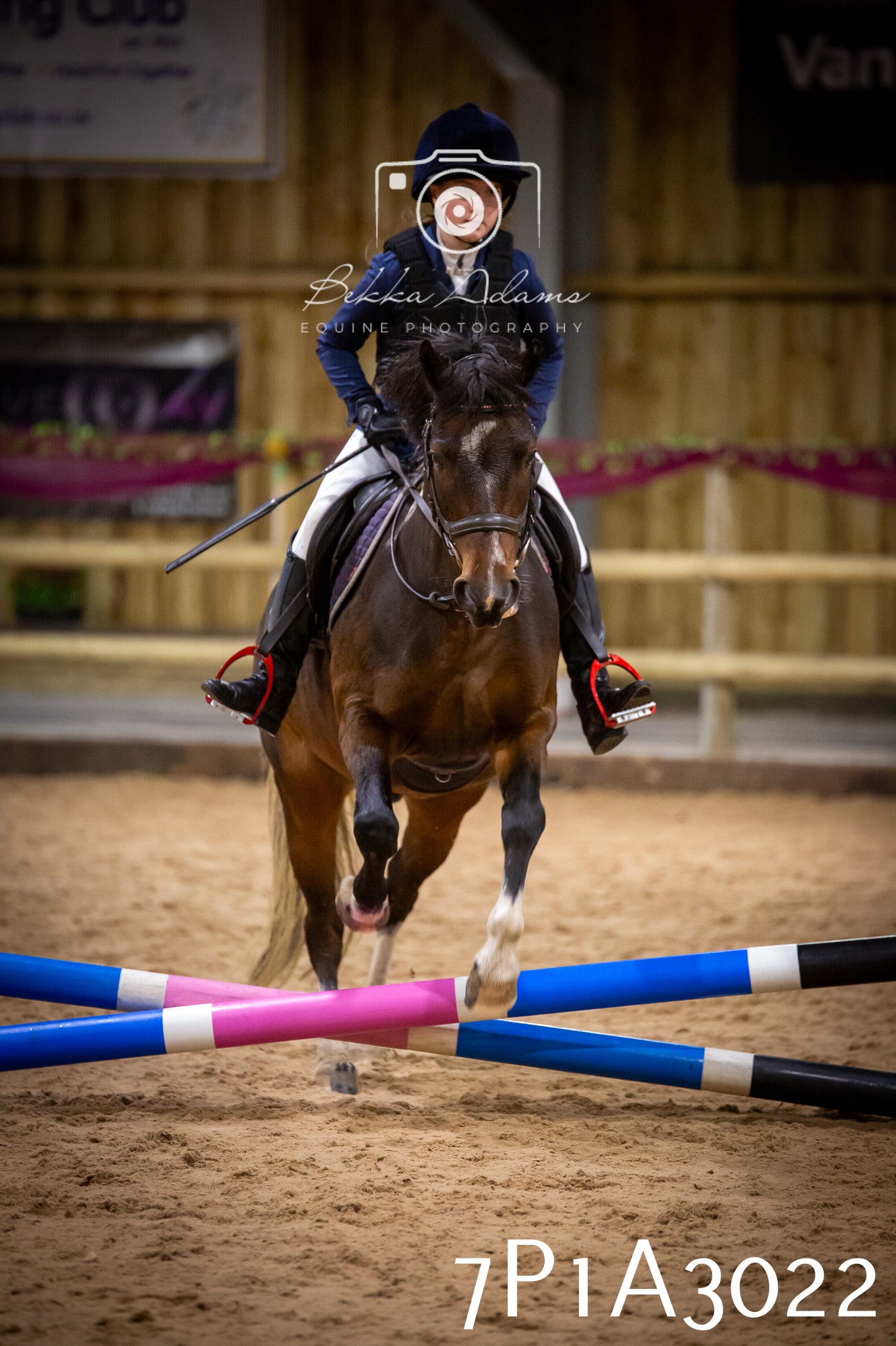 JHOYS 2025 - Junior Show Jumping - 21st September