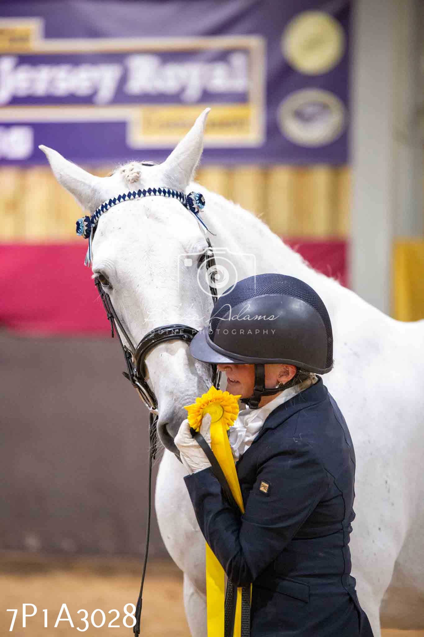 Home Farm Funshine Show 2024 - Inhand Showing 14th September