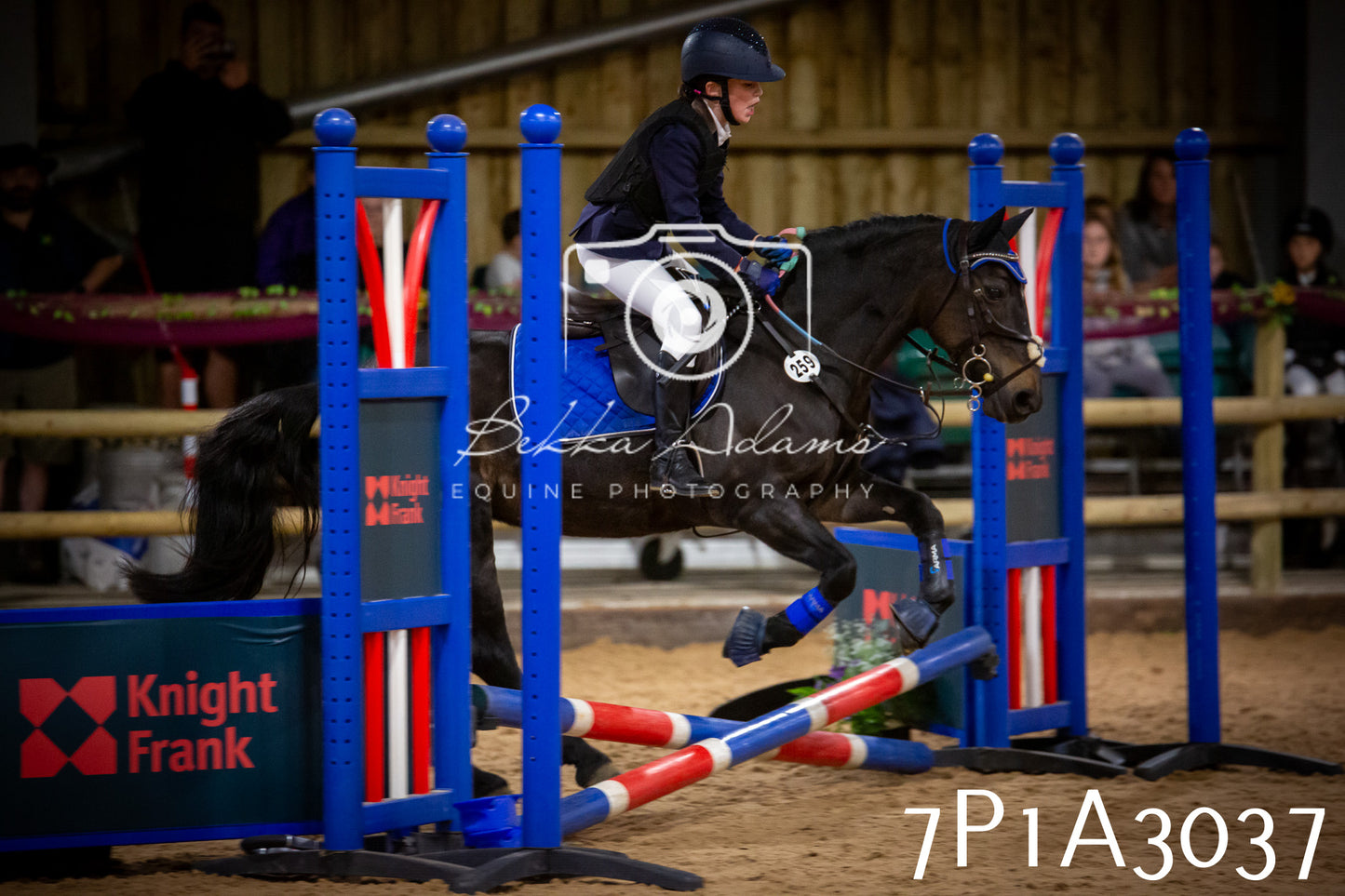 JHOYS 2025 - Junior Show Jumping - 21st September