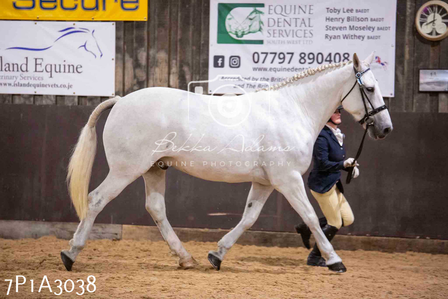 Home Farm Funshine Show 2024 - Inhand Showing 14th September