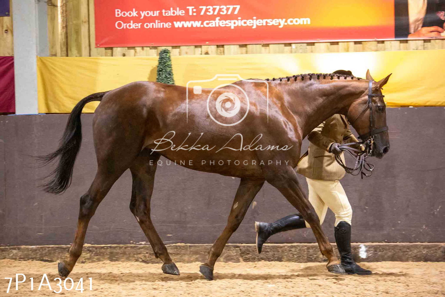 Home Farm Funshine Show 2024 - Inhand Showing 14th September
