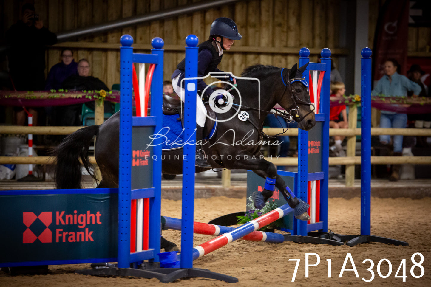 JHOYS 2025 - Junior Show Jumping - 21st September