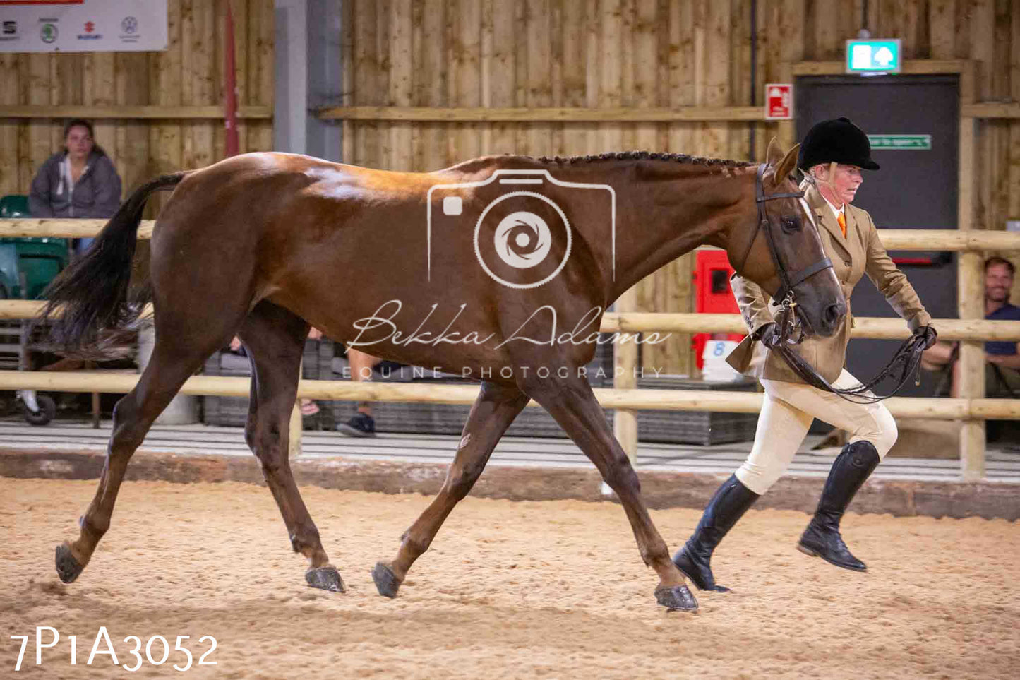 Home Farm Funshine Show 2024 - Inhand Showing 14th September