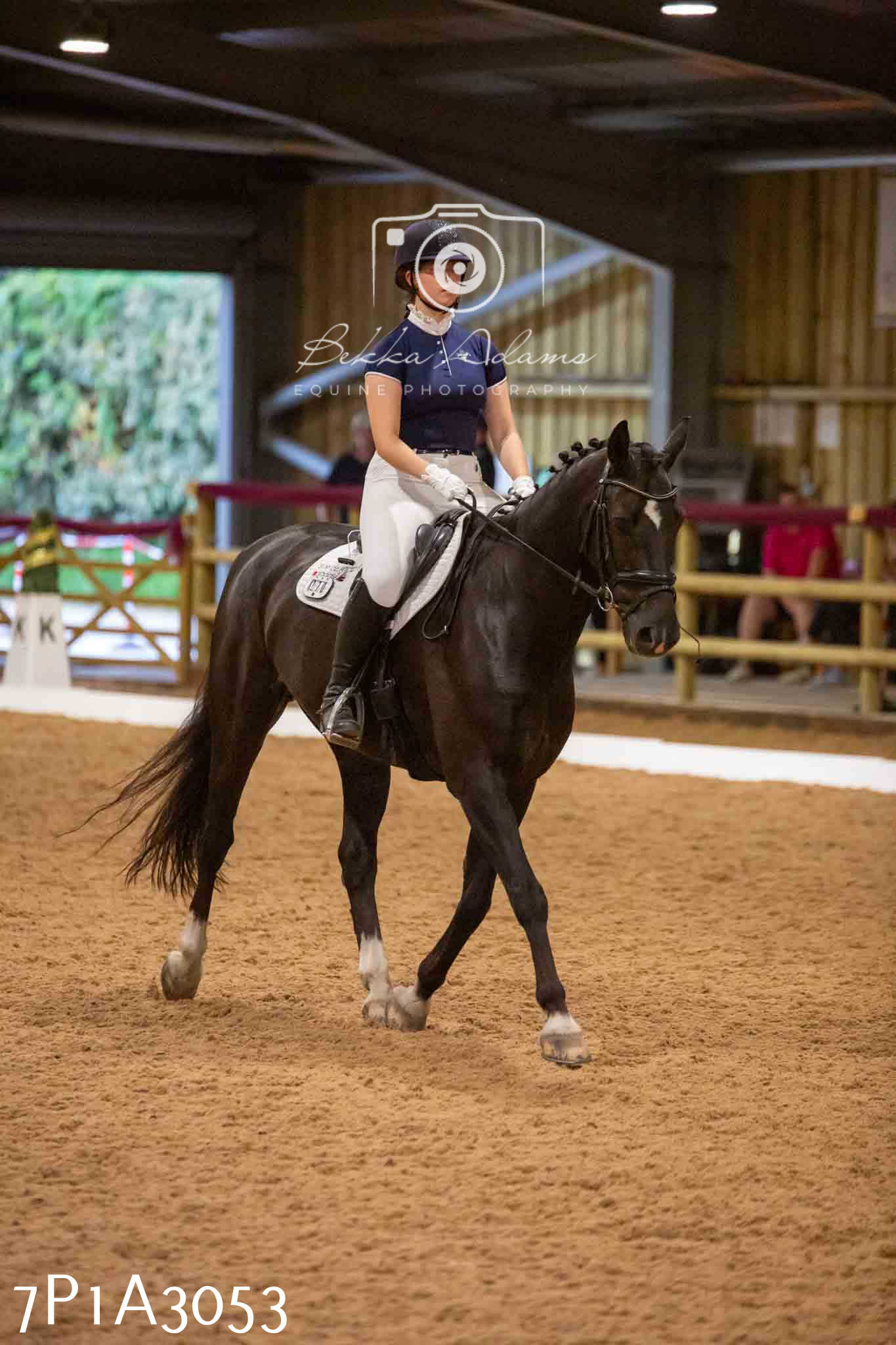 JHOYS 2023 - 7th Septemeber - Dressage