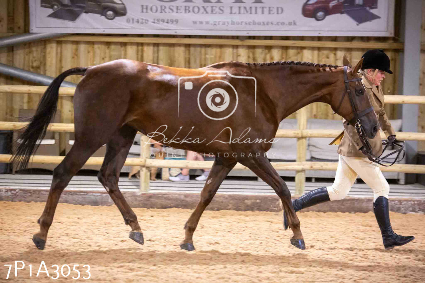 Home Farm Funshine Show 2024 - Inhand Showing 14th September