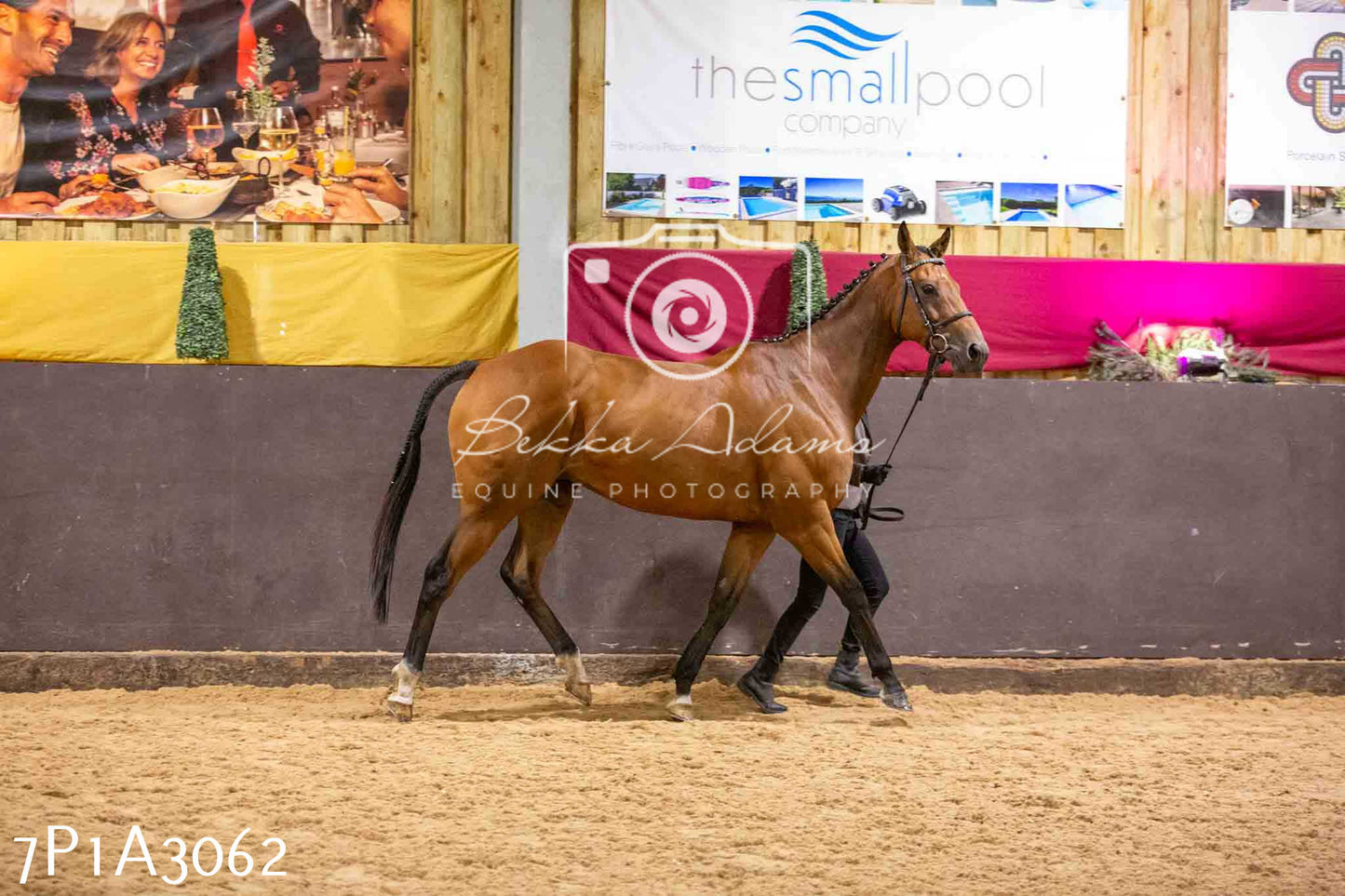 Home Farm Funshine Show 2024 - Inhand Showing 14th September
