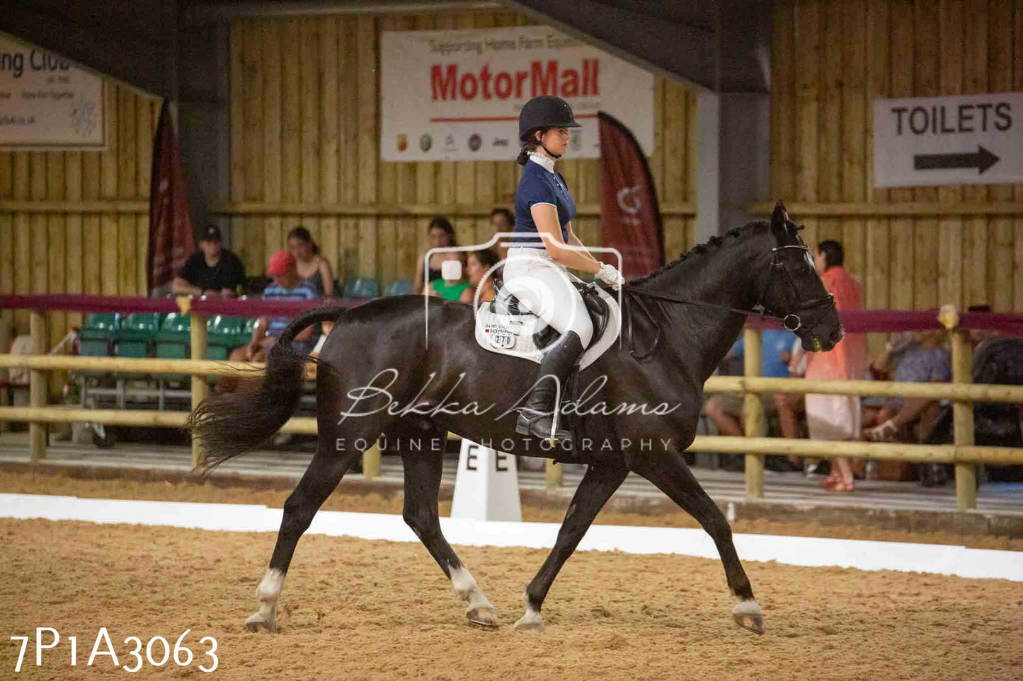 JHOYS 2023 - 7th Septemeber - Dressage