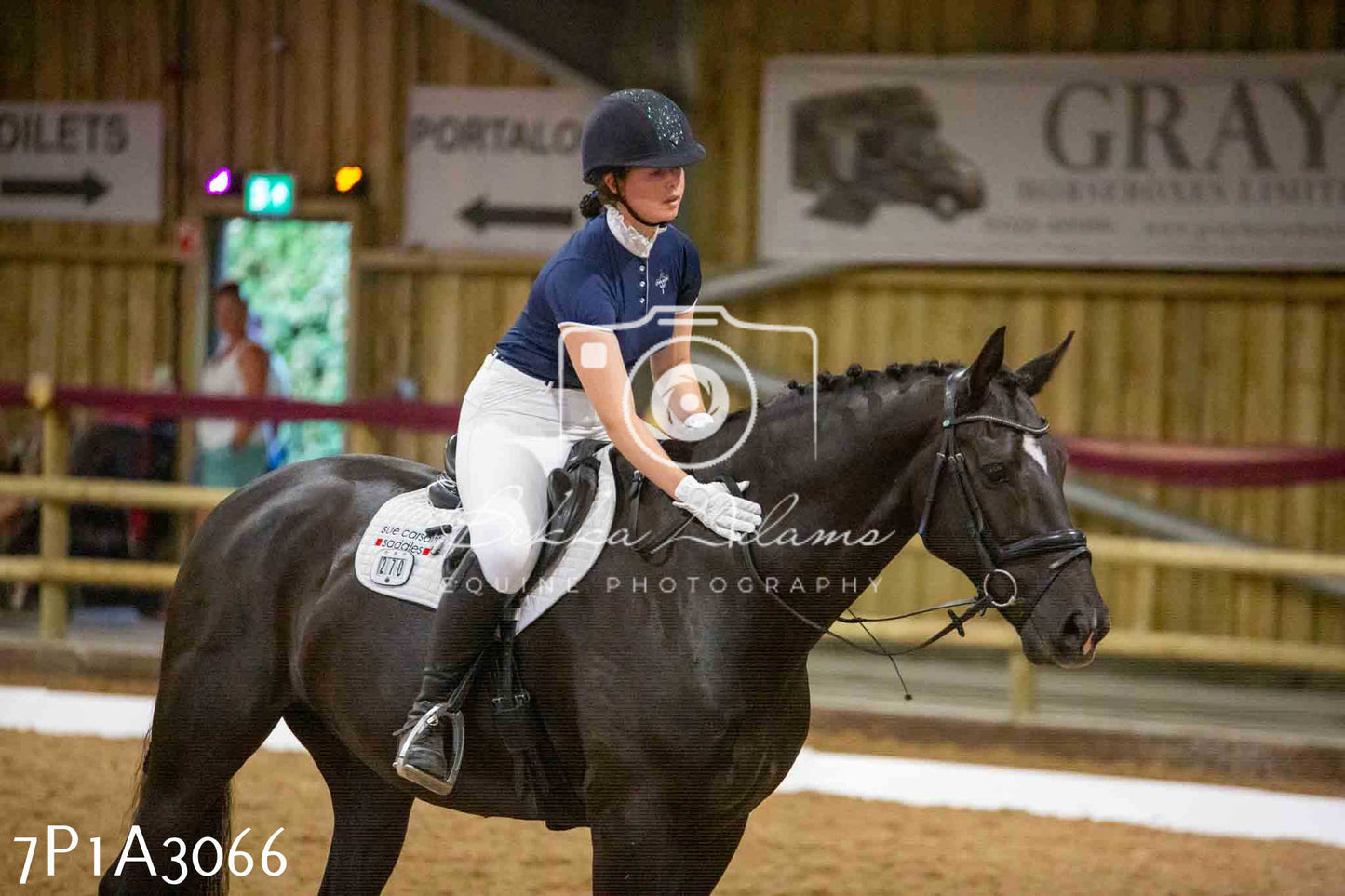 JHOYS 2023 - 7th Septemeber - Dressage