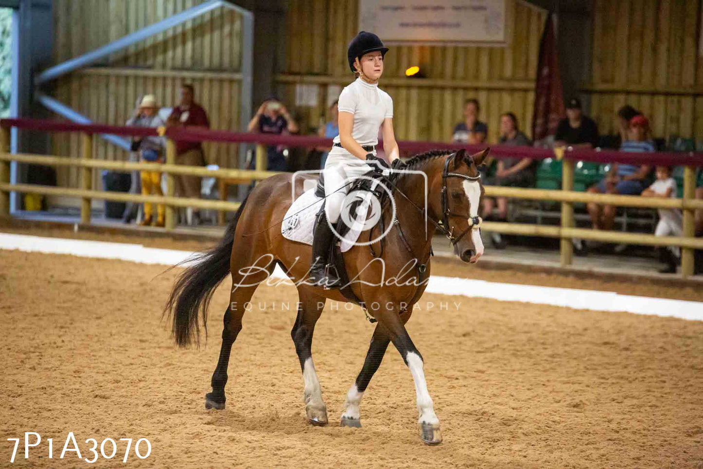 JHOYS 2023 - 7th Septemeber - Dressage