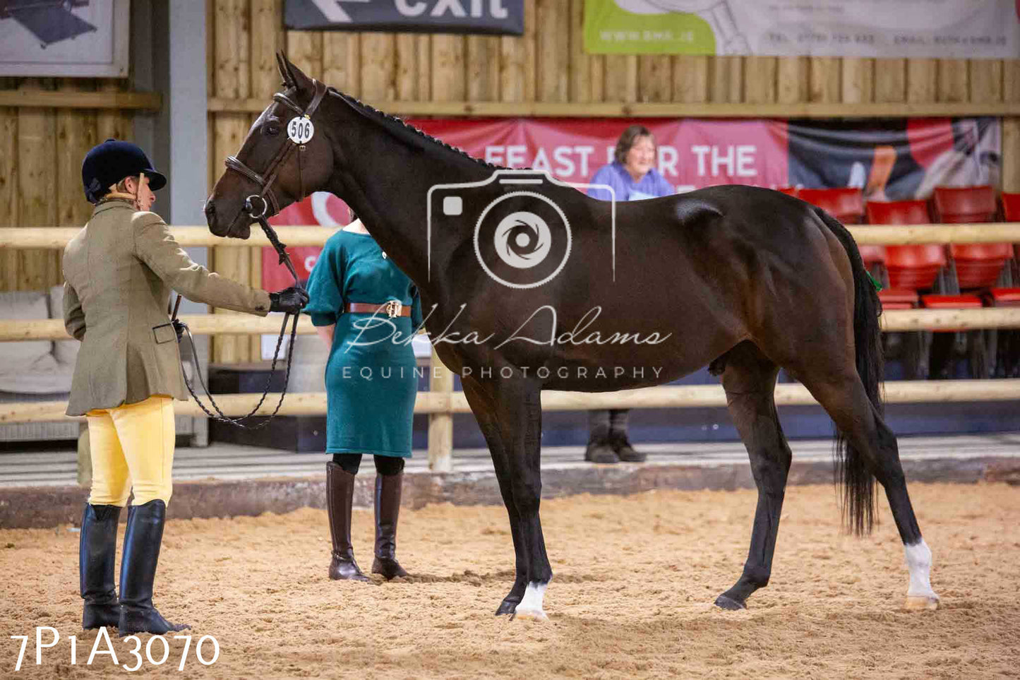 Home Farm Funshine Show 2024 - Inhand Showing 14th September