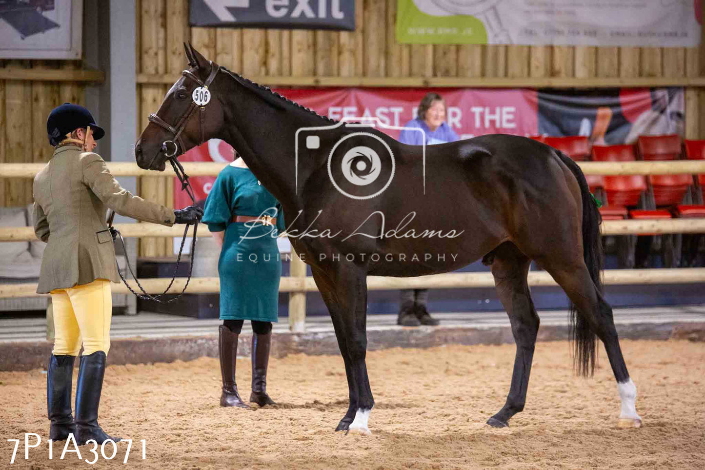 Home Farm Funshine Show 2024 - Inhand Showing 14th September