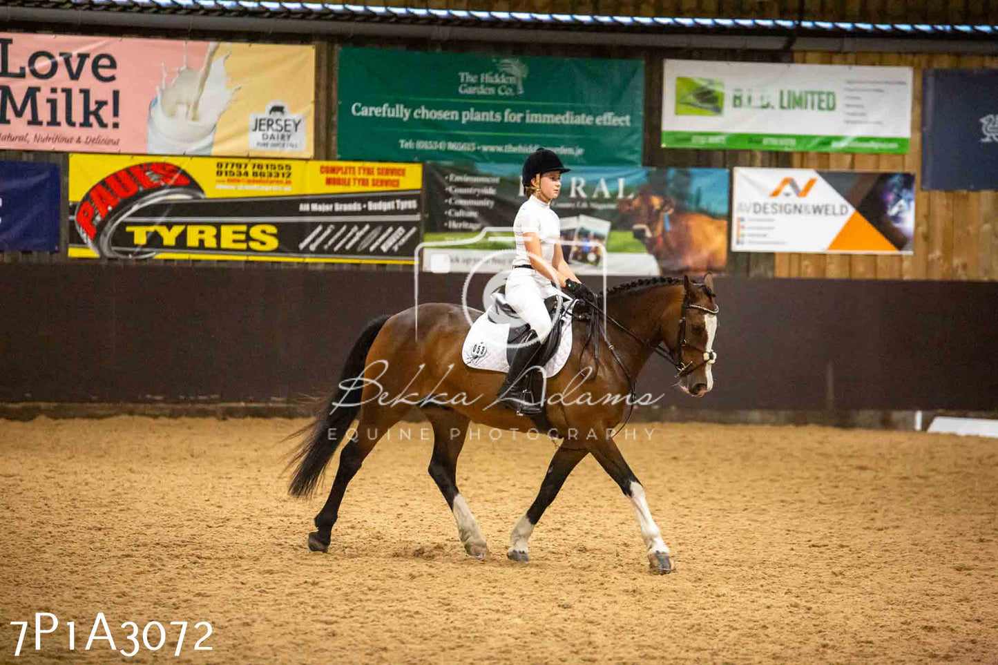 JHOYS 2023 - 7th Septemeber - Dressage