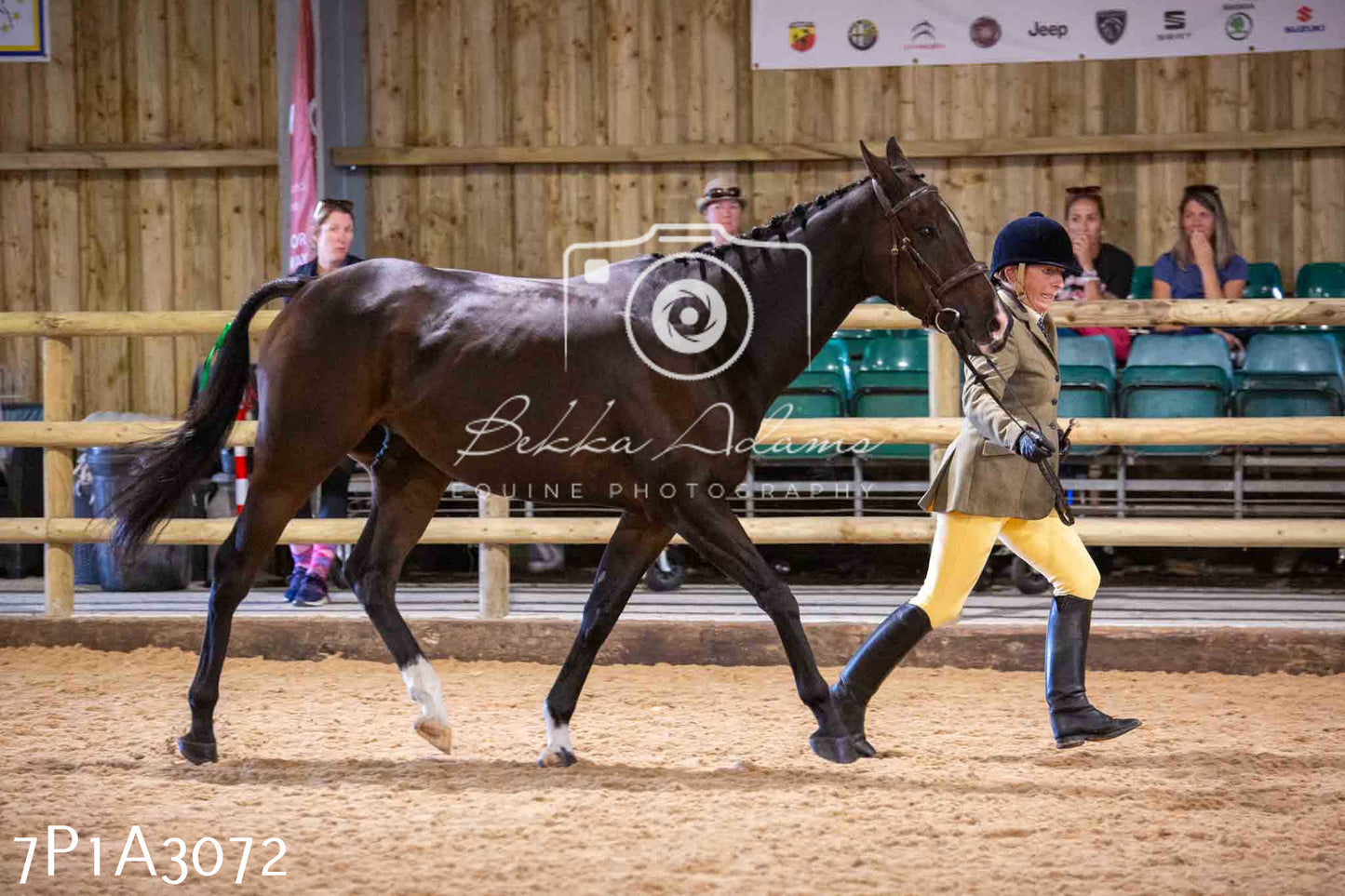 Home Farm Funshine Show 2024 - Inhand Showing 14th September