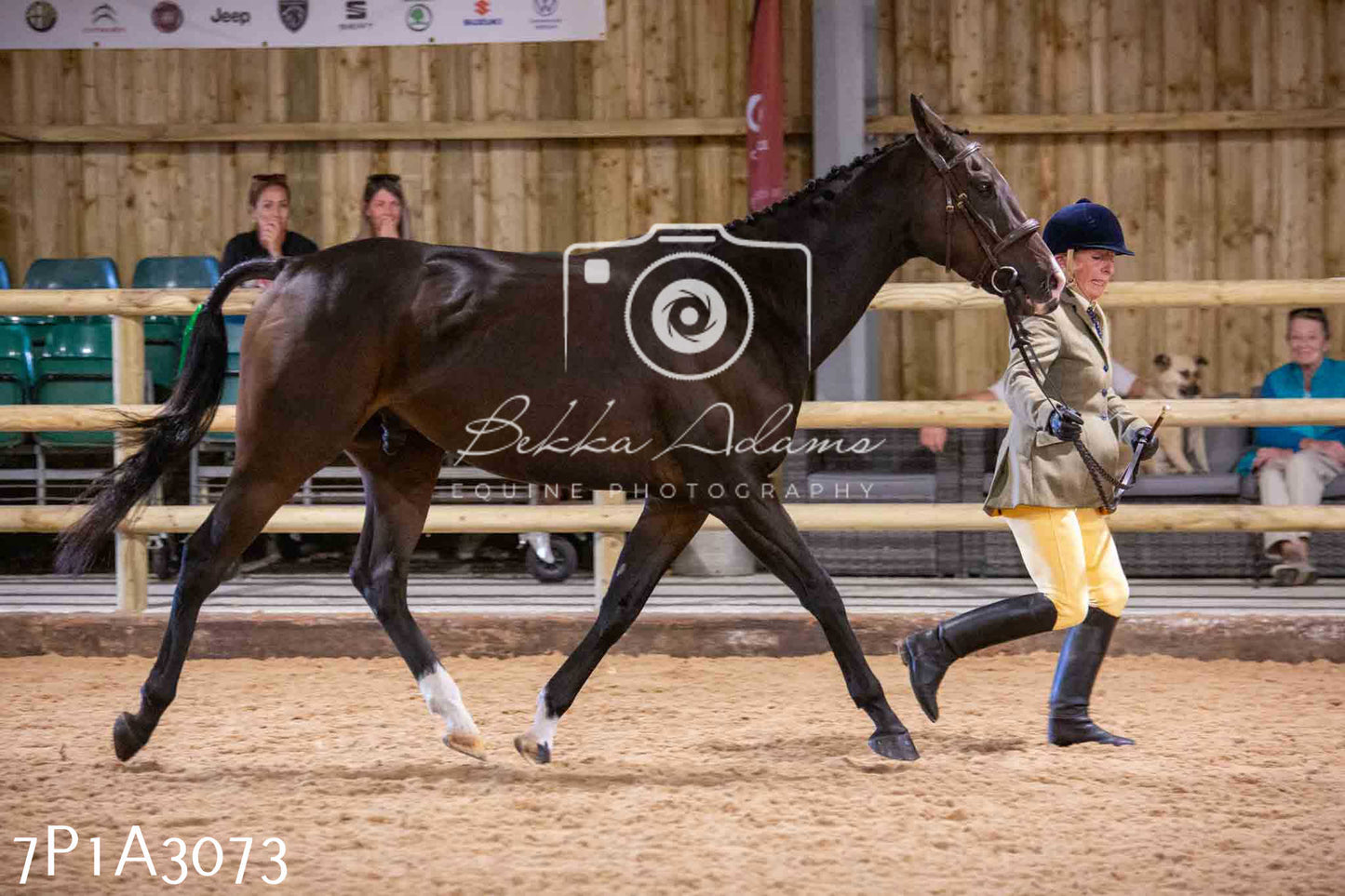 Home Farm Funshine Show 2024 - Inhand Showing 14th September