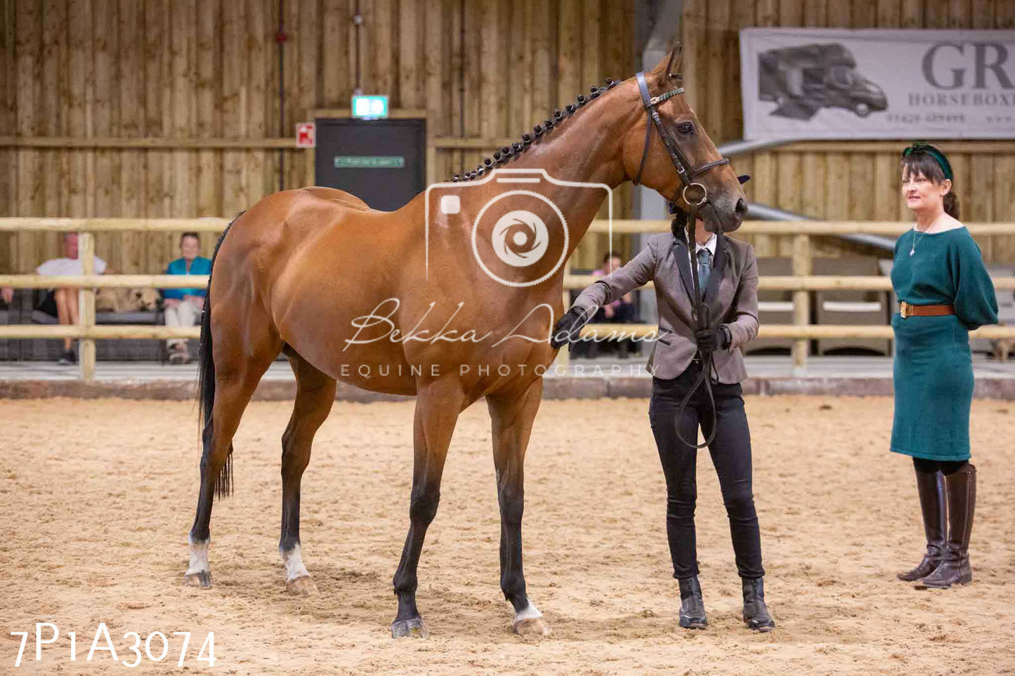 Home Farm Funshine Show 2024 - Inhand Showing 14th September