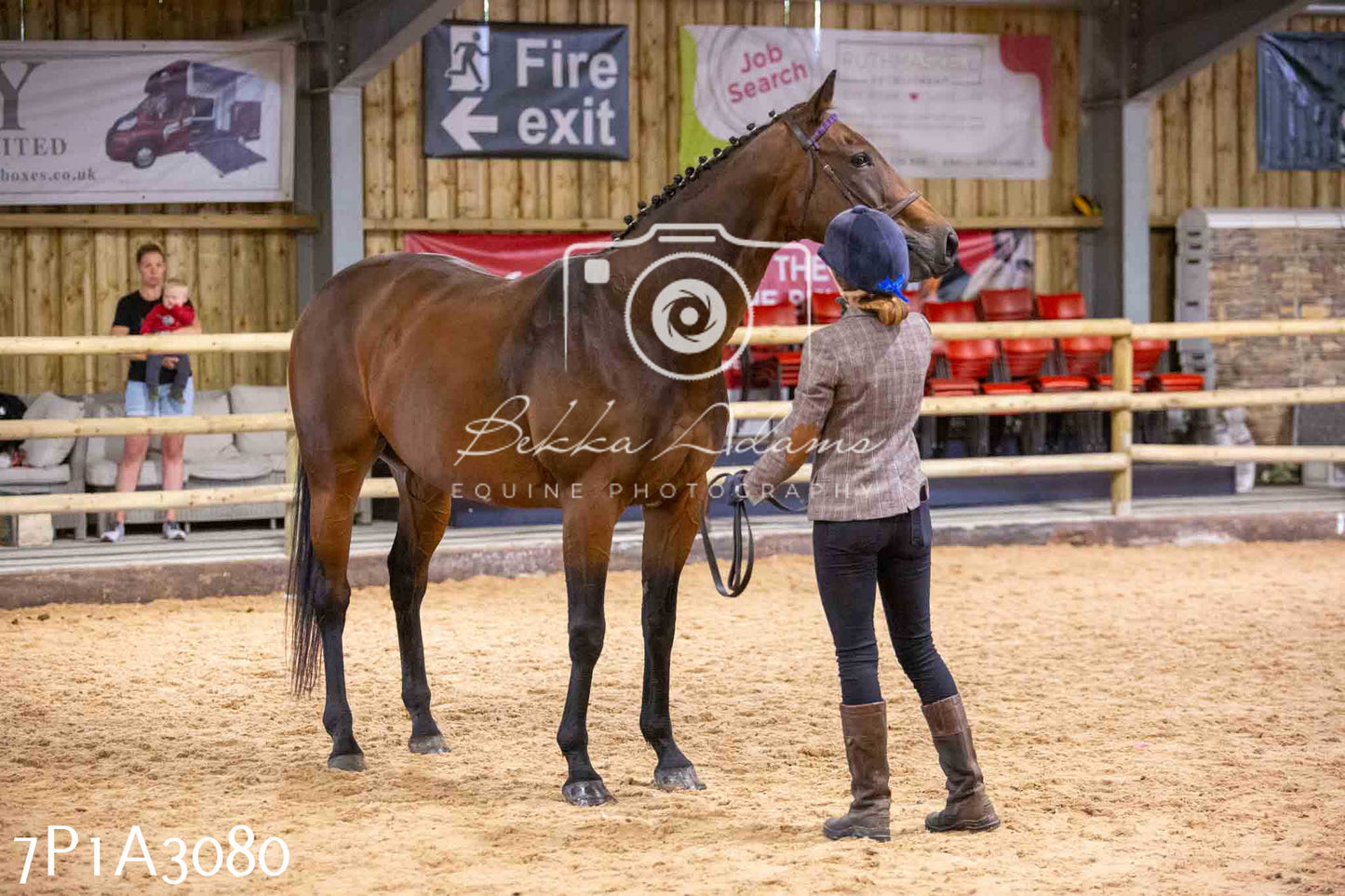 Home Farm Funshine Show 2024 - Inhand Showing 14th September