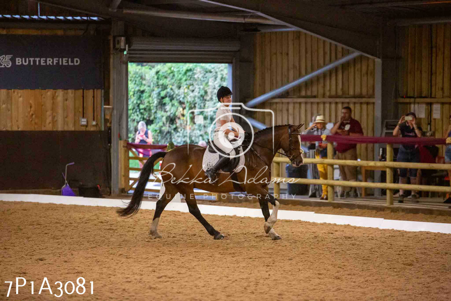 JHOYS 2023 - 7th Septemeber - Dressage