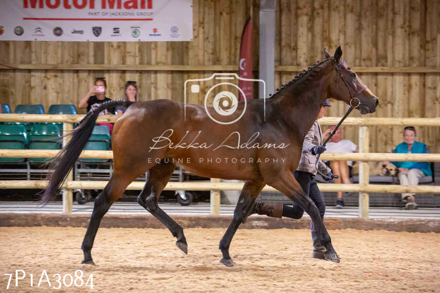 Home Farm Funshine Show 2024 - Inhand Showing 14th September