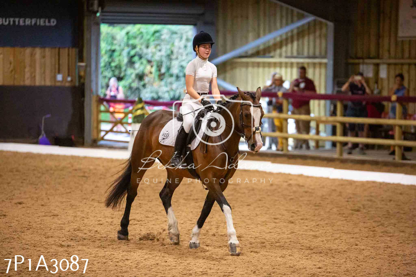 JHOYS 2023 - 7th Septemeber - Dressage