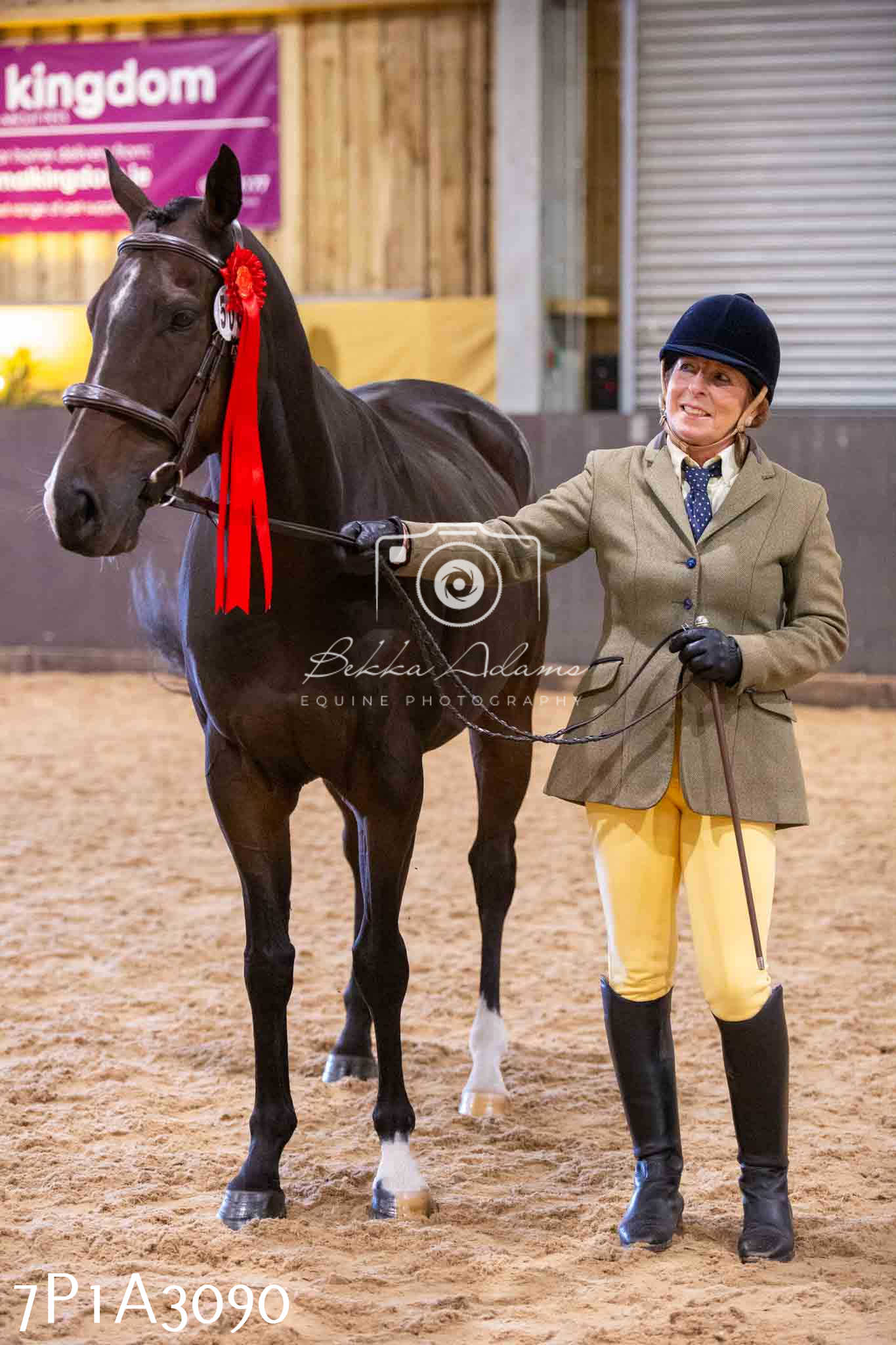 Home Farm Funshine Show 2024 - Inhand Showing 14th September