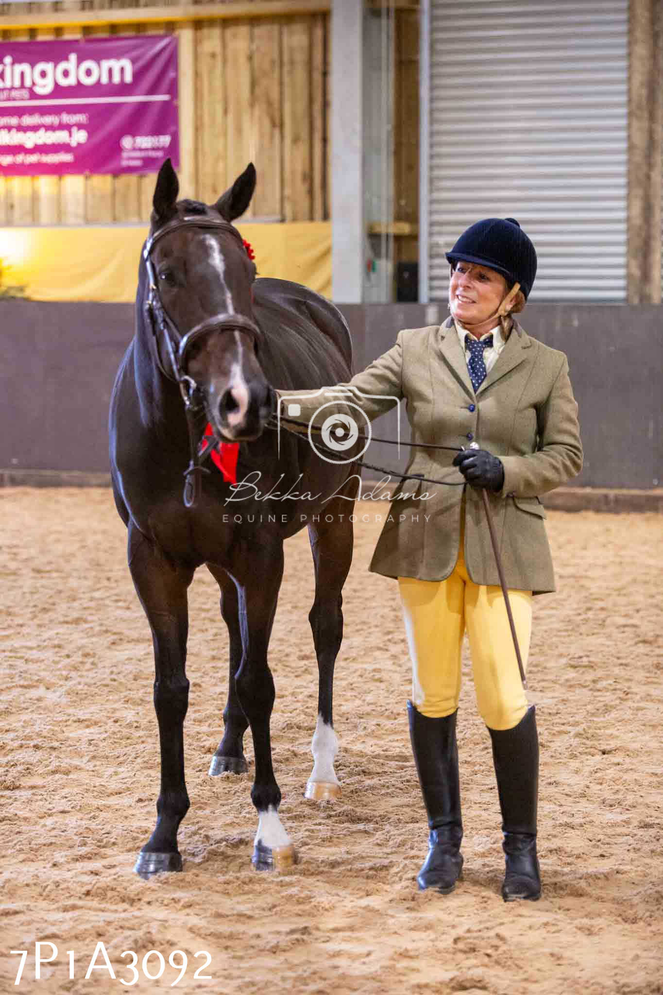 Home Farm Funshine Show 2024 - Inhand Showing 14th September